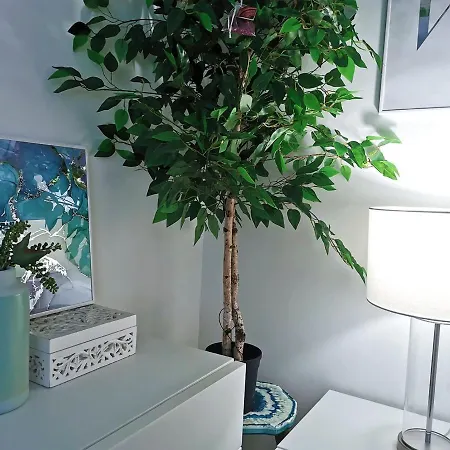 アパート Turquesa :) Parking And Wifi *